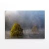 Fog during Autumn Floods  Print 100% Australian Made 120 x 90cm  (Stretched)