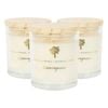 Soy Wax Scented Candles - 130g - Lemongrass - Pack of 3 - Fruity Fresh Glass Jars - Long Burn Summer Fragrance