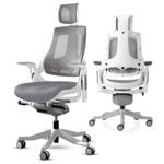 Desky Pro+ Ergonomic Chair - White