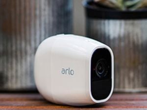 Arlo product with plant