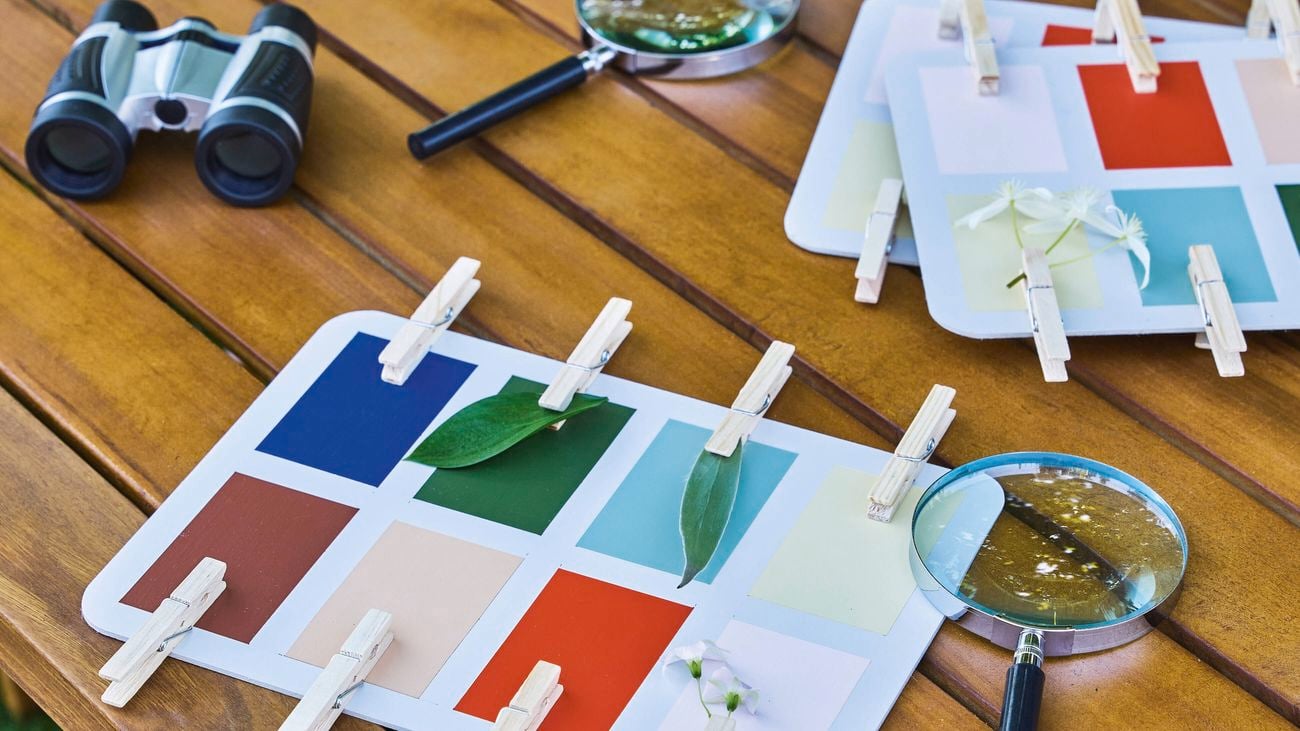 Colourful nature boards with leaves and wooden pegs on them.