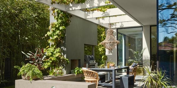 outdoor setting in courtyard with plants