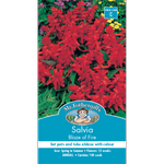 Mr Fothergill's Salvia Blaze of Fire Seed