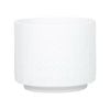 260 x 310mm White Round Footed Dash Planter