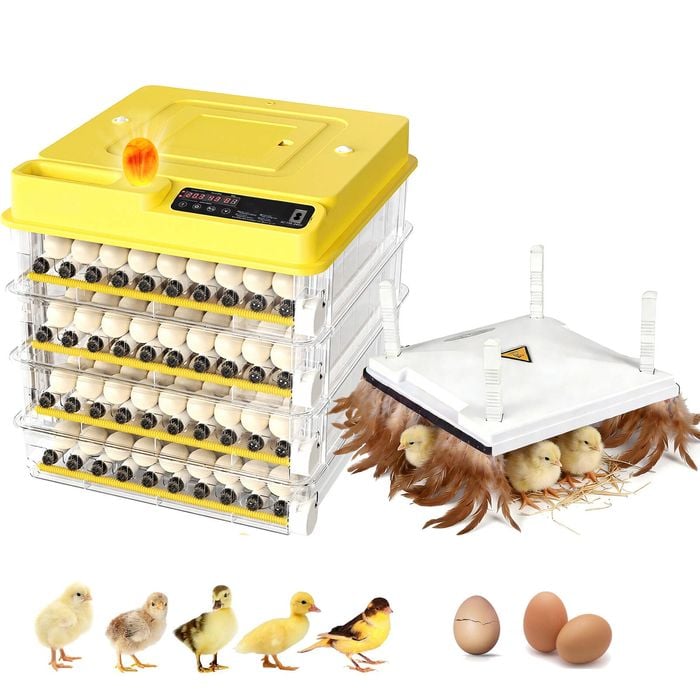Advwin 288 Egg Incubator + Chicken Brooder Heating Plate