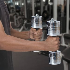 RTM Chrome Metric Fractional Olympic Weight Plates 0.25 - 1.0kg