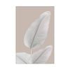 Artey | Blush Paridise I - Stretched Canvas - Stretched Canvas - 80 x 120 cm