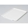 LTW Dish Drainer Tray 430x20x320mm White