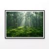 Misty Morning in the Forest  Print 100% Australian Made 90x60cm  (Poster)