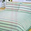 Bloomington Sage Stripes Soft Touch Microfiber Polyester Quilt Cover Set King