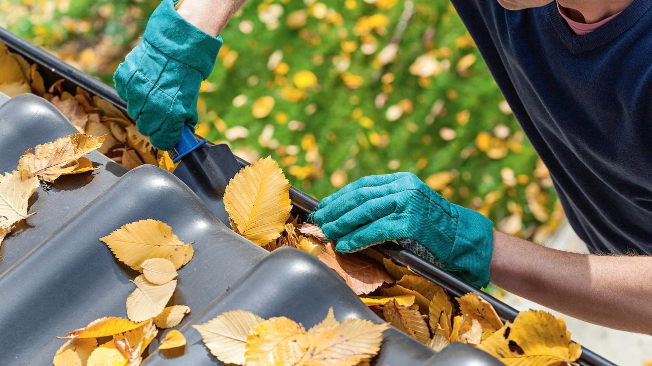 Person with gloves scooping debris from roof gutters.