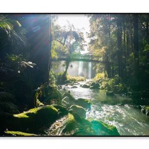 Misty Dark Dense Bush Lining River  Print 100% Australian Made 120x90cm  (Poster)