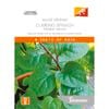 Johnsons Seed Climbing Spinach Malabar Greens World Kitchen