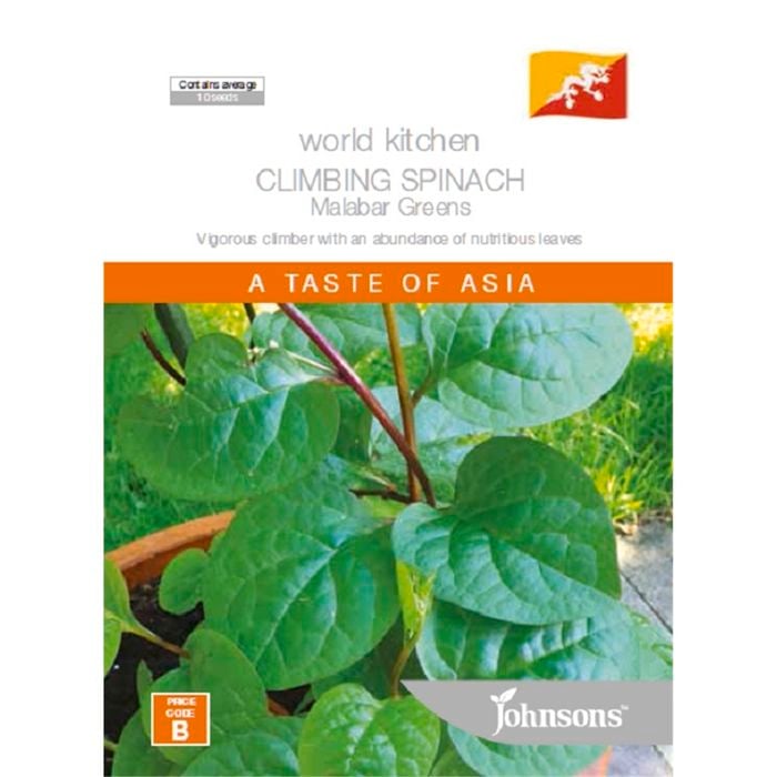 Johnsons Seed Climbing Spinach Malabar Greens World Kitchen