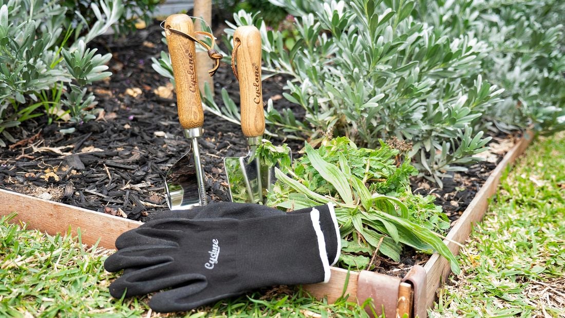 A pair of gardening gloves, a trowel and a weed fork in a garden bed along with some uprooted weeds
