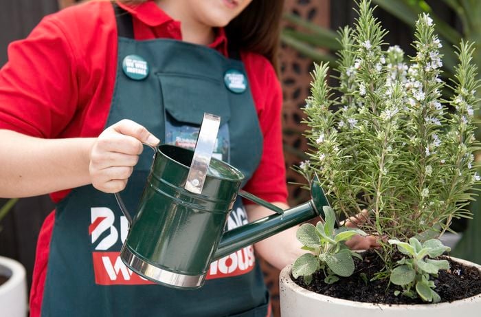 DIY -Step 3 - Plant your cocktail herbs - How to design a herb garden - Emily.jpg