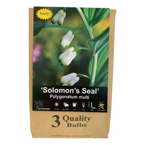 Yarra Valley Bulbs Polygonatum Multiflorum - 3 Pack