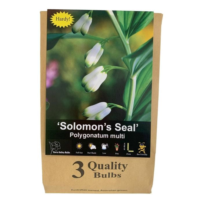Yarra Valley Bulbs Polygonatum Multiflorum - 3 Pack