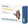 Revolution Blue For Cats (2.6-7.5kg) – 6 Pack