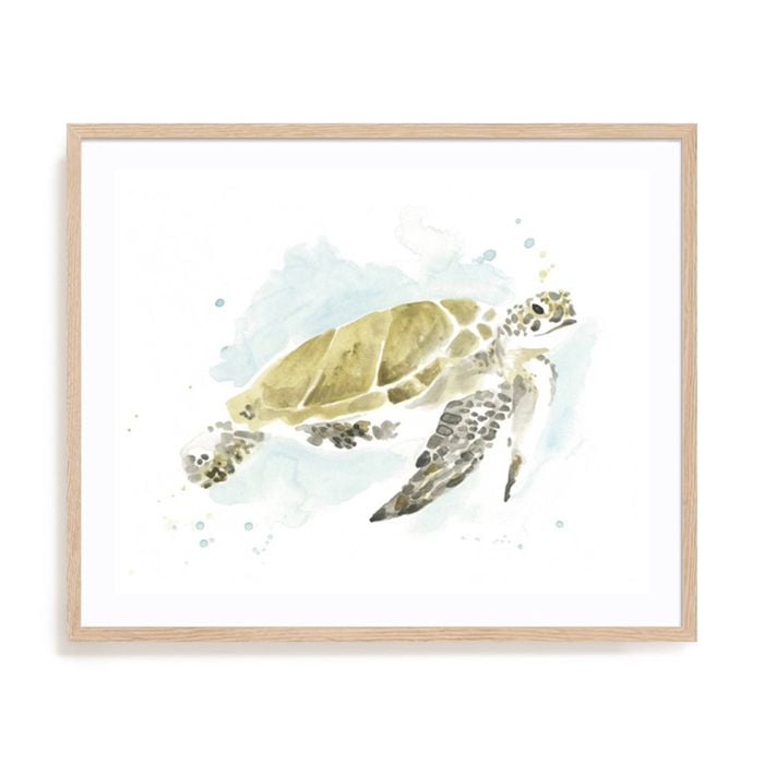Artey | Watercolor Sea Turtle Study I - Framed Print - Natural Frame - 65 x 80cm