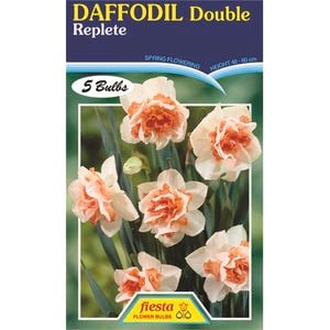 Daffodil Replete - 5 Bulbs