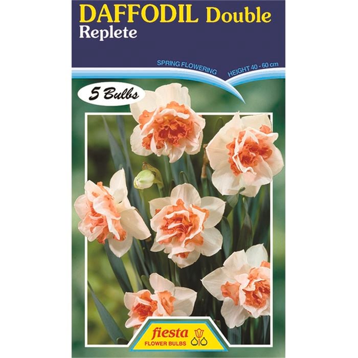 Daffodil Replete - 5 Bulbs