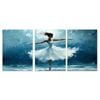 3pcs Romantic Ballerina Blue & White Tulle Dress Print 100% Australian Made 3 x 40x60cm (Metal Print)