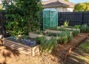 A garden with three raised plant beds.