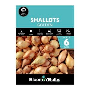 Bloomin' Bulbs Golden Shallots - 6 Pack