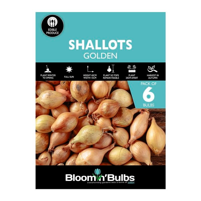 Bloomin' Bulbs Golden Shallots - 6 Pack