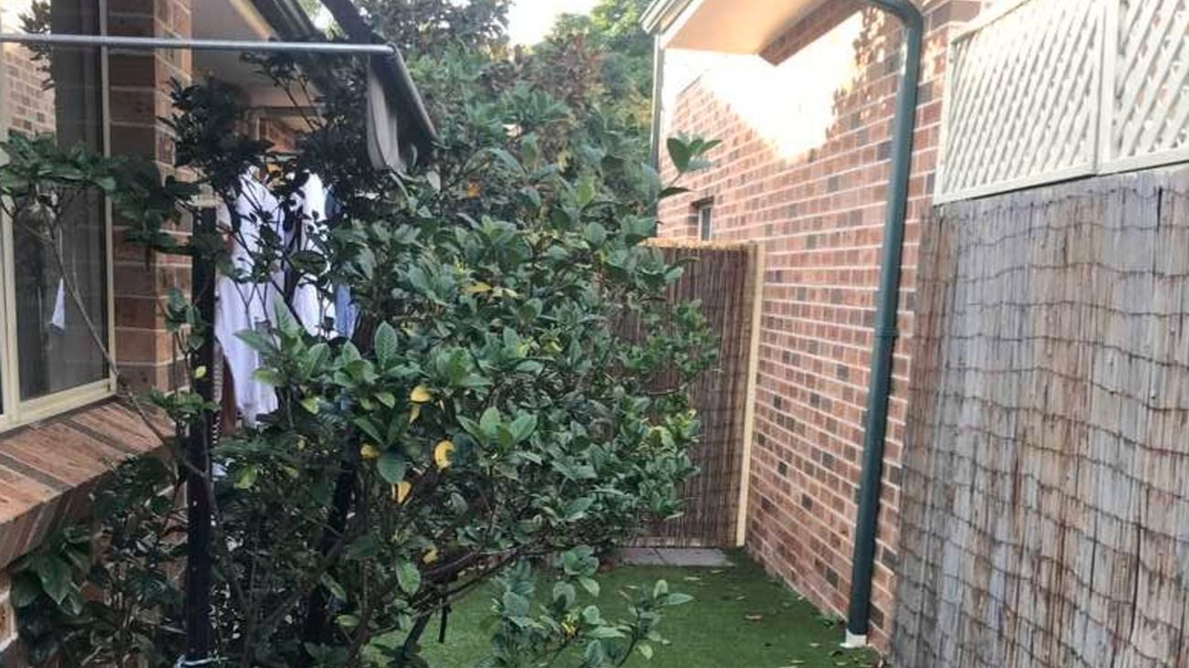 small back yard with feature brick wall, grass and timber side fence