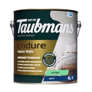 Taubmans 4L Accent Matt Endure Interior Walls Paint