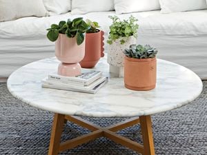 Bright lounge area with a white couch, cushions, tree views, coffee table, decorative ladder and potted plants.