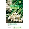 Country Value All Year Spring Onion Seed