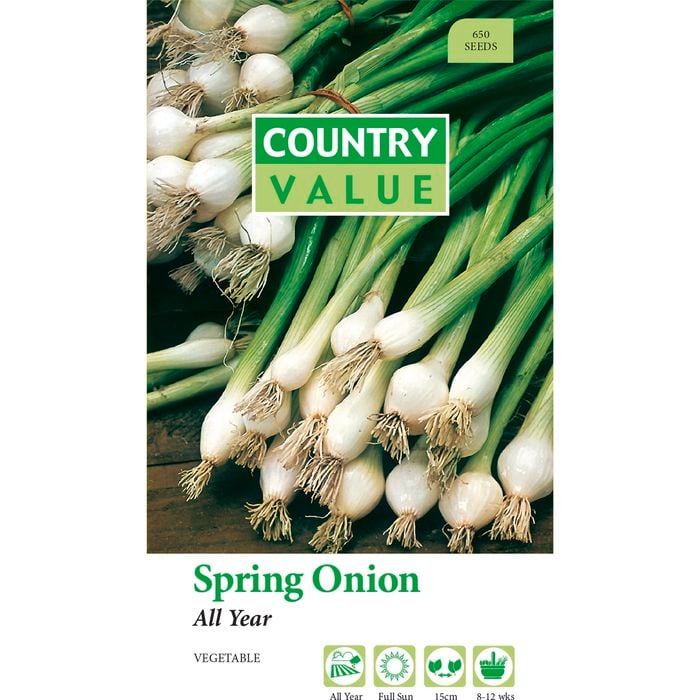 Country Value All Year Spring Onion Seed