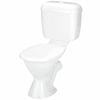 Stylus P Trap Allegro Link Toilet Suite
