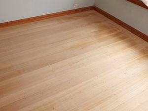 66 x 18mm 5.4m Moulding White Pine FJ Primed DAR