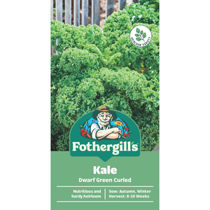 Fothergill's Dwarf Green Curled Kale Vegetable Seeds