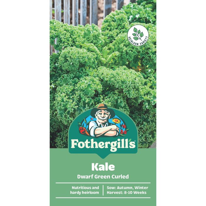 Fothergill's Dwarf Green Curled Kale Vegetable Seeds