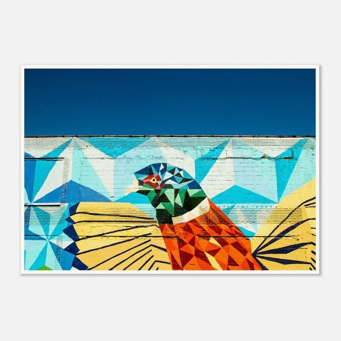 Galrie Vibrant Detroit Wall Art Featuring a Colourful Bird in Fine Art Photography, Poster Only, 70 x 100cm (28 x 40inch)