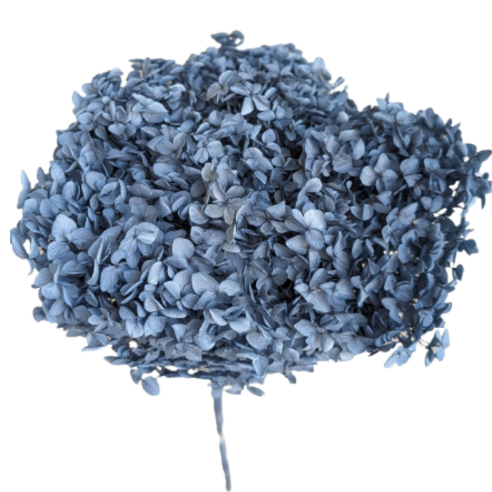 Blooms of Joy 50cm Blue Hydrangea Small Petal