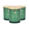 Nicola Spring Soy Wax Scented Candles 130g - Sage & Seasalt Pack Of 3 Herbal Spa Scent Glass Jars Long Burn Aromatherapy Candle