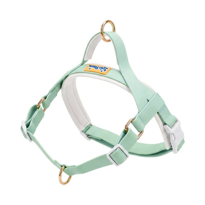 LOLOPAWS Waterproof Dog Harness No-Pull Pet Adjustable Vest No Choke PVC Green L