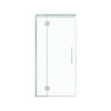 Stein 1000 x 2000mm Chrome Project Shower - Door Only
