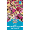 Mr Fothergill's Phlox Tapestry Flower Seeds