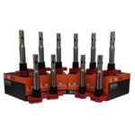 10-Pack SWAN Ignition Coil for Audi R8, S6, S8 (5.2L) & RS6 (5.0L Twin Turbo)