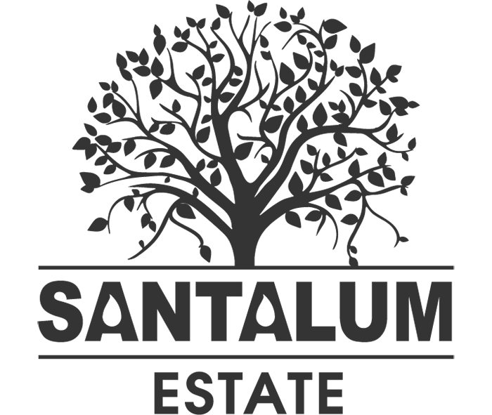 Santalum