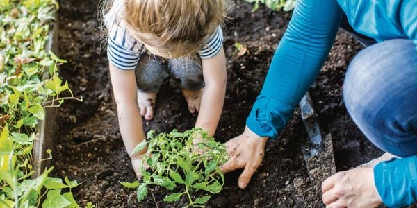 kids gardening
