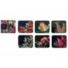 Ashdene Native Grace - Assorted Coasters 4 Pack