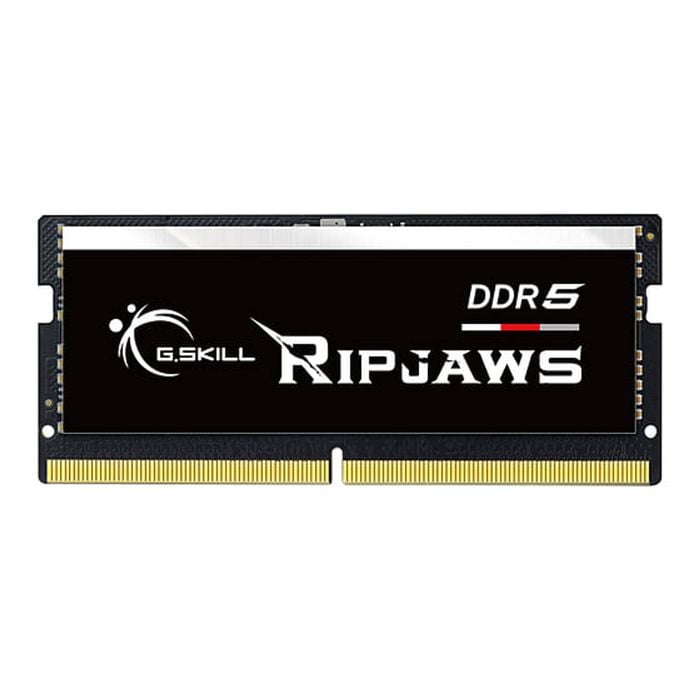 G.Skill Ripjaws 16GB (1x16GB) DDR5-4200 SODIMM Memory [F5-5200S3838A16GX1-RS]